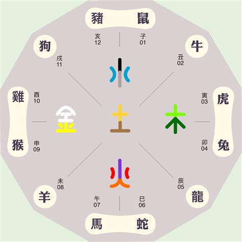 五行属金的东西|四季的五行属性及食物搭配